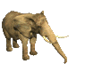 Tr&ouml;te 4