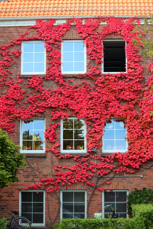 slide photo