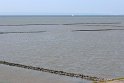 IMG_0775K