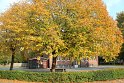 IMG_2667K