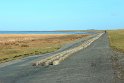 IMG_2899_A