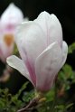 IMG_3622_A