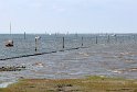 IMG_4199_A